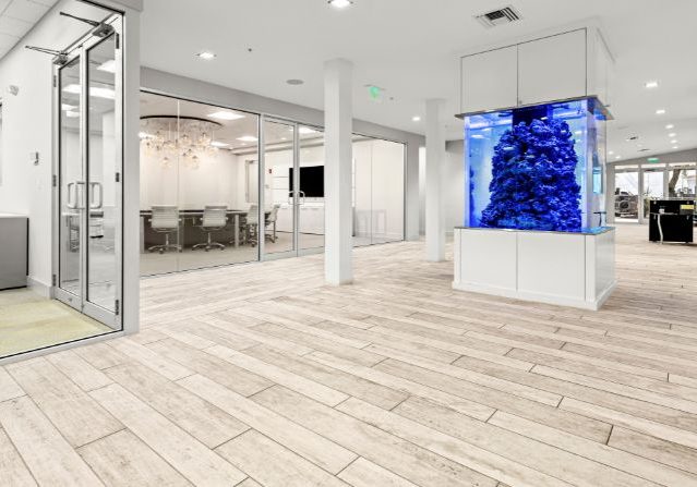 xr:d:DAF0PF0KVdk:13,j:203071973419036862,t:23112210